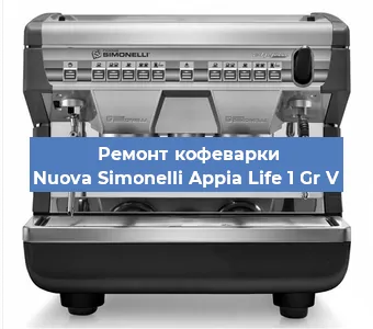 Чистка кофемашины Nuova Simonelli Appia Life 1 Gr V от накипи в Москве
